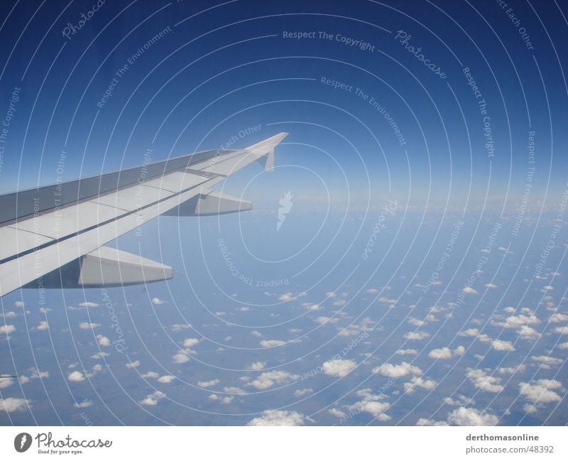 At the other end of the world. Clouds Stratocumulus Airplane Altocumulus floccus Wanderlust Above the clouds Vacation & Travel Airplane window