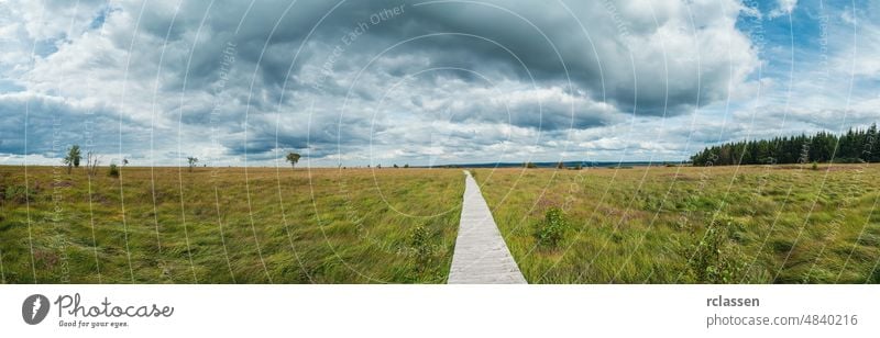 Panoramic view of the recreation area high Venn (Hautes fagnes) at the Eifel in belgium at a cloudy day grassland venn background boardwalk brack brackvenn