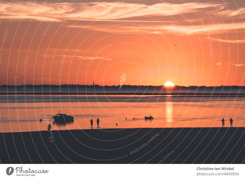 View from Föhr over the beach and the Wadden Sea into the sunset behind Sylt Sunset Sunset sky sunset mood North Sea Fohr Utersum on Föhr Mud flats hörnum