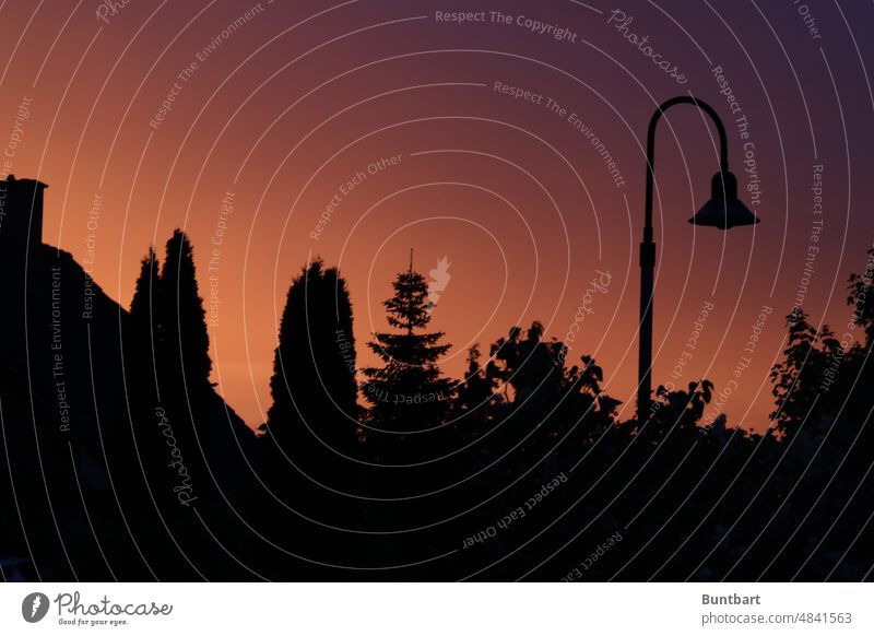 Suburban silhouette in the evening glow Silhouette sunset Sunset Orange Sky Evening Sunlight Twilight Dusk Deserted Colour photo streetlamp trees Front garden