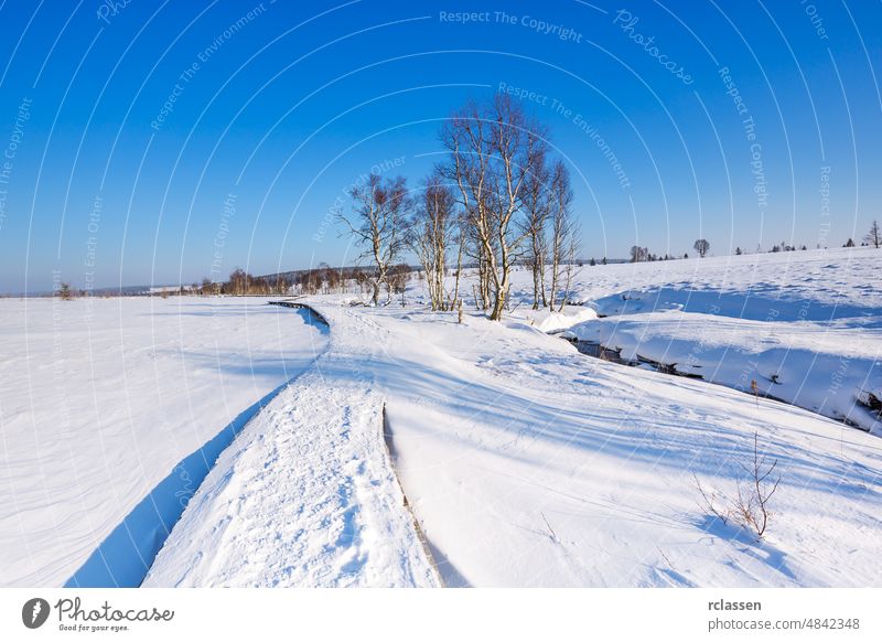 Winter in the High Fens at Baraque Michel Ardennes tree Belgium Eifel ice Eupen frost frozen Hautes Fagnes pagan plateau hochmoor high Fens Wooden path