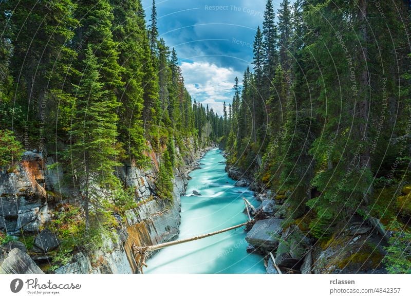 Numa Falls at the Vermillion River Canyon in the Kootenay National Park Canada kootenay banff canada wildlife cascade creek curve energy falls flow flowing