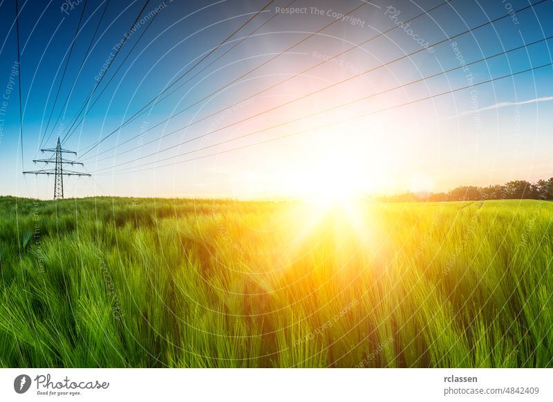 Sun emits explosive over wheat field dusk farmland rural economy blue energy warm light sky back-light high voltage power line cornfield nature landscape