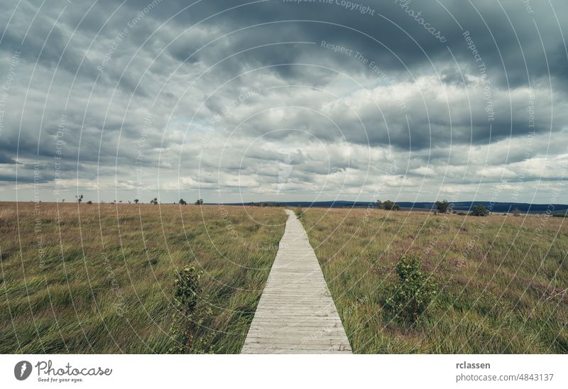 Wooden boardwalk through the recreation area high Venn (Hautes fagnes) in belgium with dramtic cloudy sky. grassland venn background brack brackvenn clouds