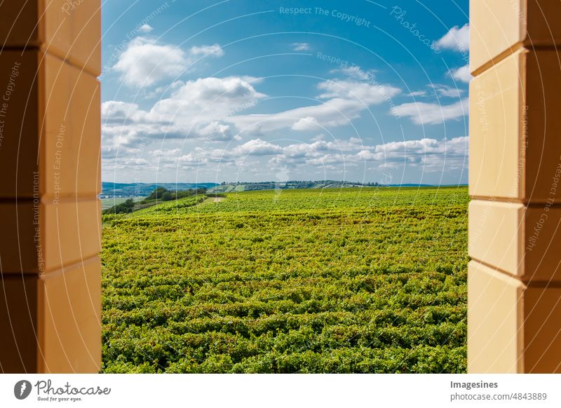 Landscape backdrop of vineyards framed by a window made of stone. View from the window Rheinhessen, Rhineland-Palatinate, Germany Landscape scenery Stone