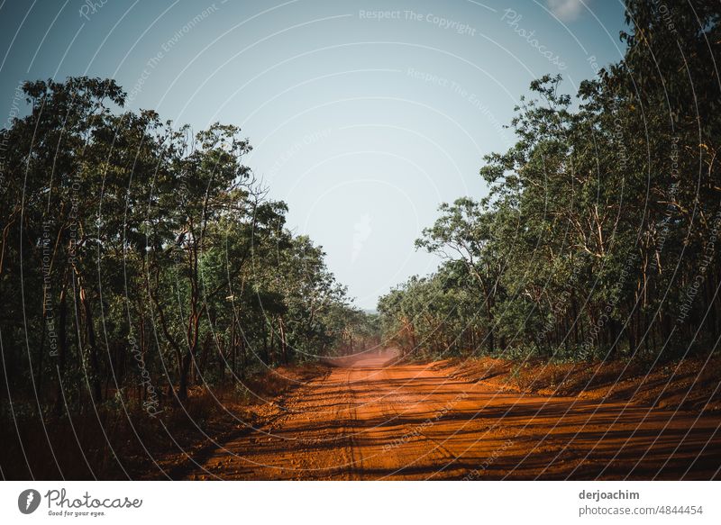 Somewhere in the Qutback. A dusty reddish brown road with a little more dry trees on the right and left. Street Deserted Road traffic Traffic infrastructure