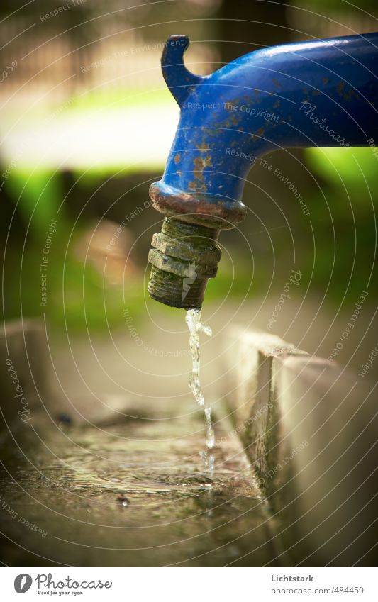 no one knows how long it will take Environment Water Drops of water Wood Metal Contentment Style Colour photo Exterior shot Close-up Copy Space bottom Day