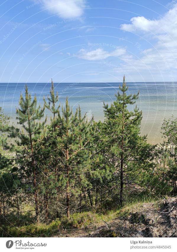 Sea North Sea Baltic Sea Ocean Vacation & Travel Beach Sand Summer Water Coast Tourism Relaxation Sky North Sea coast vacation Summer vacation Landscape Nature