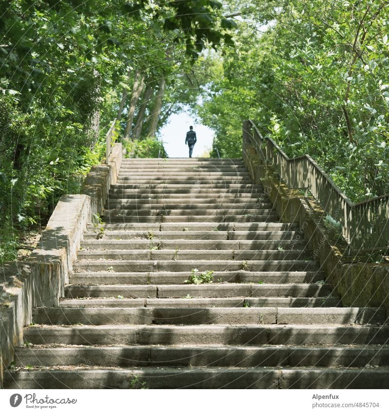 next level Stairs Phenomenon Human being Light Colour photo Man Light (Natural Phenomenon) Silhouette Shadow Adults Exterior shot Green Park Above clear