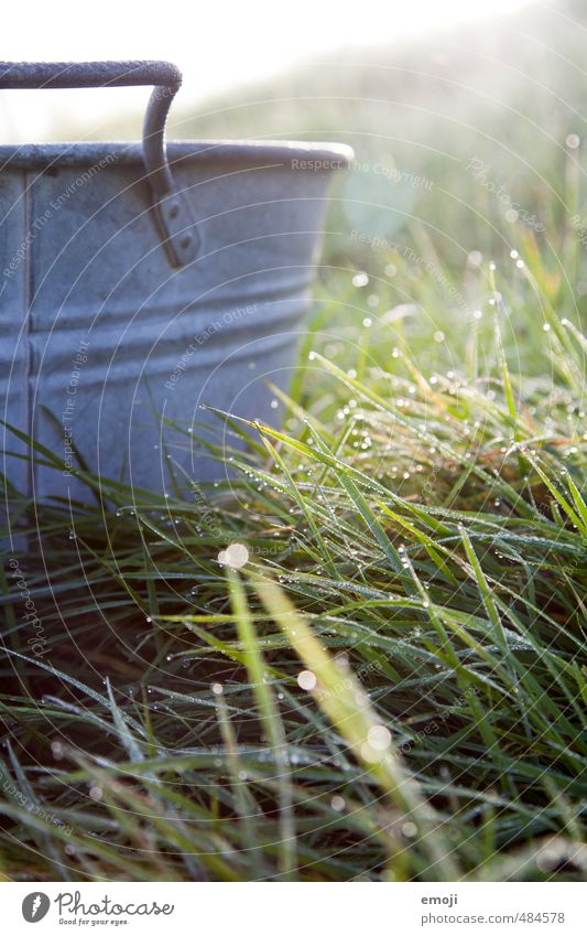 washing day Environment Nature Drops of water Grass Boiler Metal Natural Green Wash Washing day Colour photo Exterior shot Morning Sunlight Sunbeam Back-light