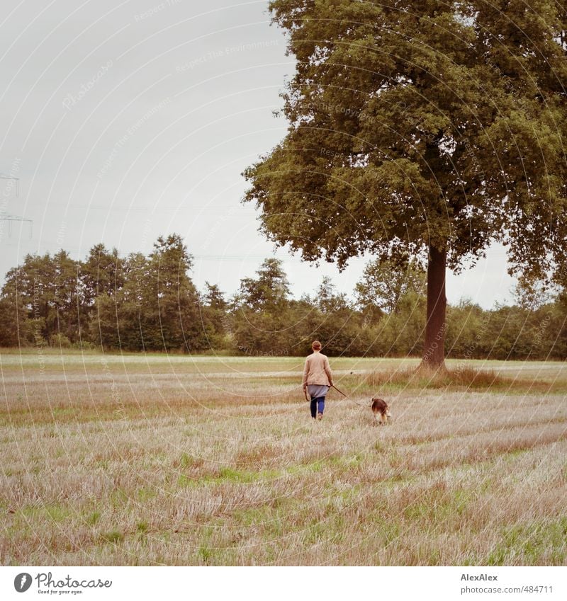 Young woman walking with a sheepdog on a pasture - rear view Youth (Young adults) 18 - 30 years Adults tree Grass bushes Field Jeans Jacket Dog lead brunette