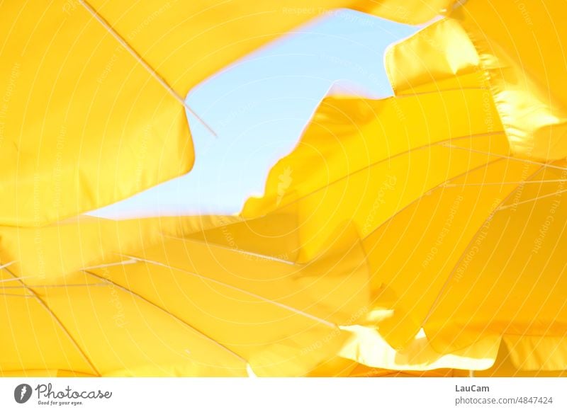 Summer time - yellow parasols blowing in the wind Sun sunshine Yellow Blue warm Outdoors sunny Sunlight Relaxation Sunbathing Light holidays vacation travel