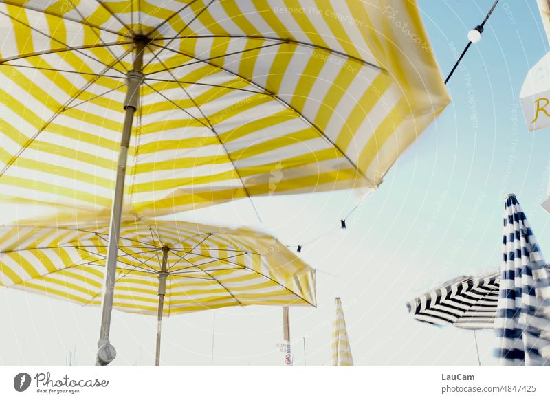 Summertime - striped parasols at work Striped Summer vacation Vacation & Travel Beautiful weather Sunshade Sunlight sun protection Sky Cloudless sky Relaxation