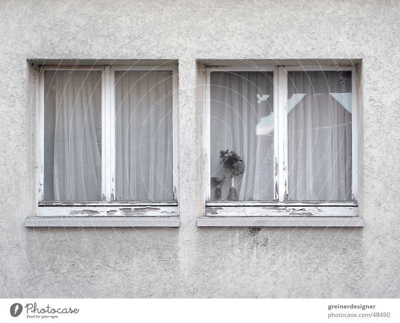 windows Gloomy Neighbor Window Part of a building Window board Village Grief Province Arm Shabby dirty facade in the country Sadness