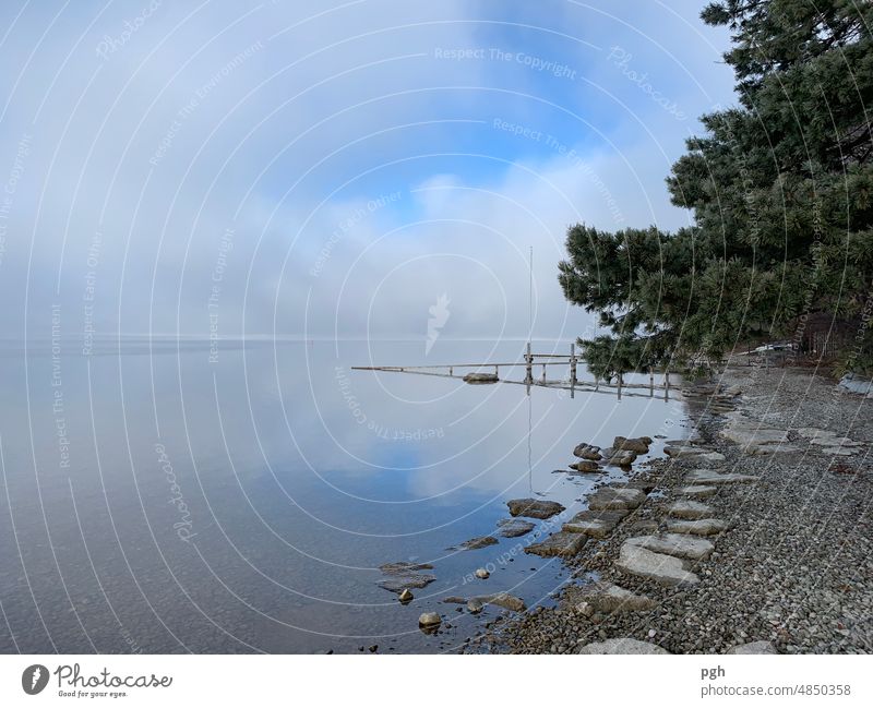 Mystical atmosphere at Lake Starnberg Fog bank Footbridge Lifestyle Joy Happy Harmonious Relaxation Calm Meditation Winter Winter vacation