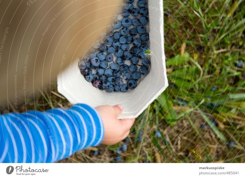 collectors & collectors Food Fruit Blueberry blackberries Eating Picnic Organic produce Vegetarian diet Diet Fasting Slow food Finger food Bowl Child Toddler