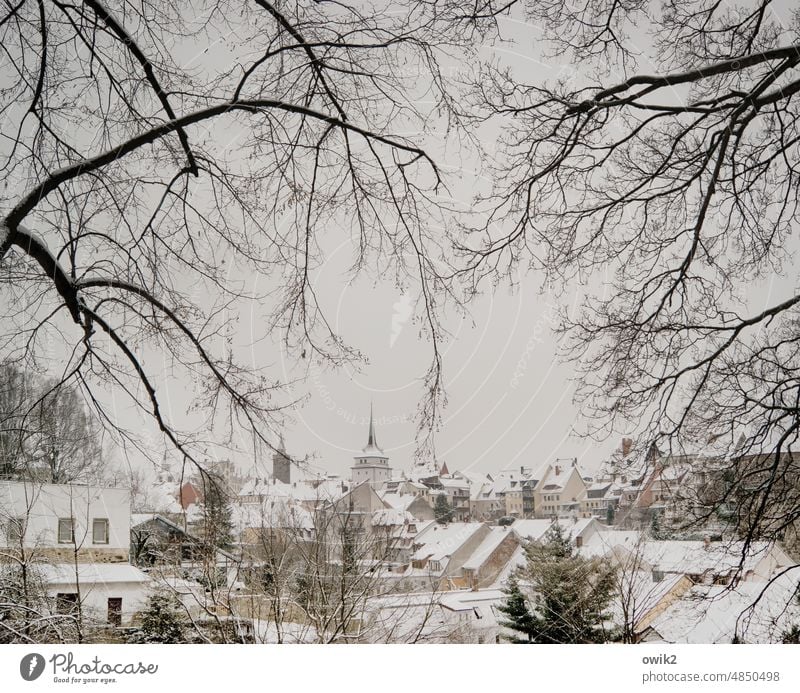 Snow Sunk winter landscape Winter's day Winter mood Contrast Sky Covered Small Town snowy Roof Building Window Day Panorama (View) Deserted Snow layer