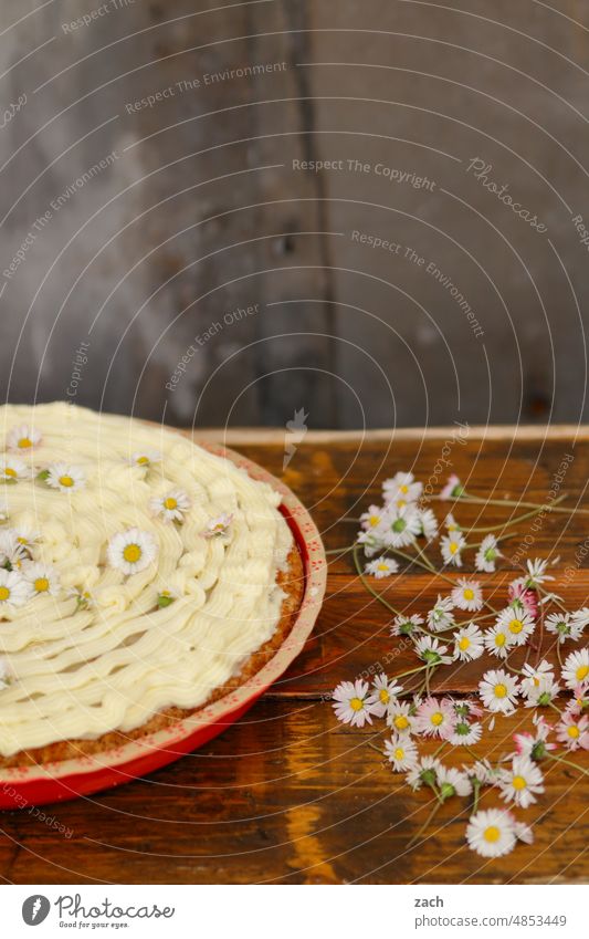 Taste explosions Cake whipped cream Baked goods Food photograph Baking Confectioner`s sugar cute Delicious carrot cake Blossom leave Flower Plate Gateau