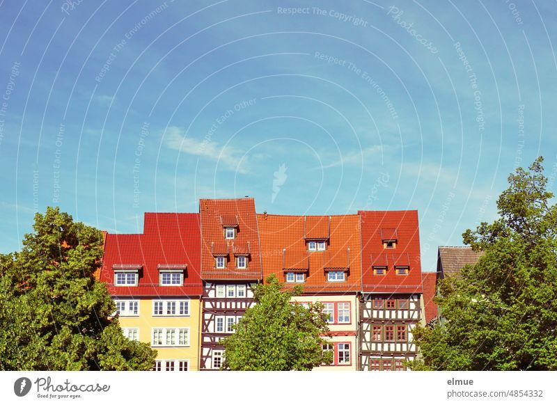 historical row of houses with red roofs and green trees against blue sky / half-timbered houses Housefront Half-timbered houses Erfurt state capital Thuringia