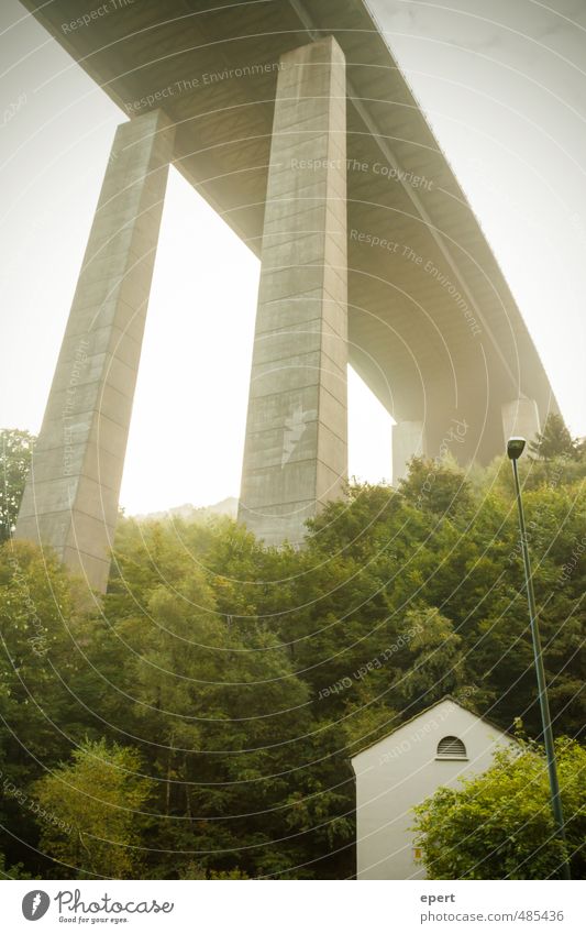 Highway to Sauerland Street lighting Tree Forest Hill House (Residential Structure) Bridge Overpass Gigantic Large Town Modern Perspective Colour photo