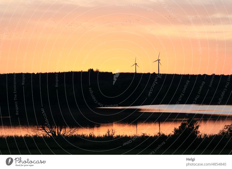 Evening atmosphere at the lake, in the distance two wind turbines evening mood Sunset Lake Lake Niedermoos Hesse Vogelsberg Pinwheel Water Light Shadow Sunlight