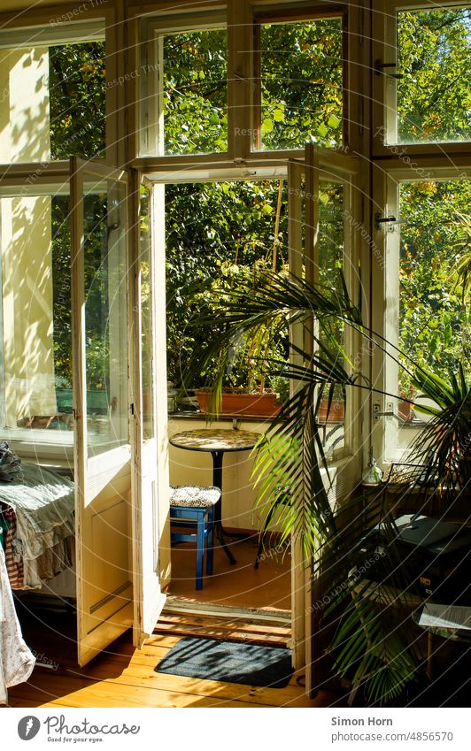 View of summer balcony Balcony Balcony plant Old building Open green Green Summer balconies Overgrown City life Balcony furnishings Idyll Living or residing