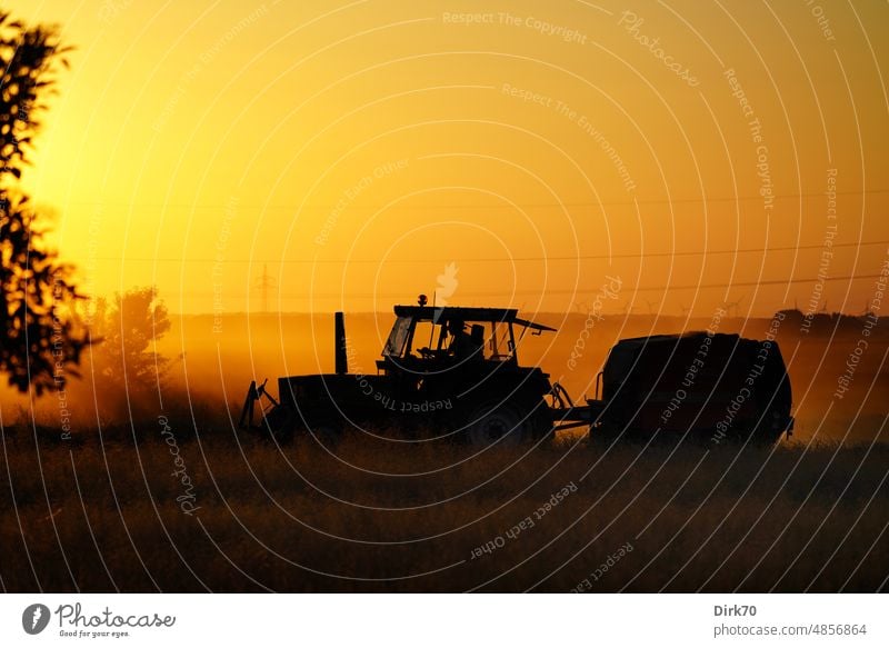 Making hay - tractor in evening light Tractor trekker Light Back-light Dusk Twilight Agriculture agriculturally Agricultural machine Field Machinery Nature Farm