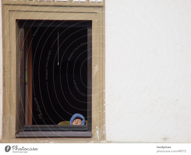 hibernation in haslach Vantage point Woman Senior citizen Haslach Federal State of Upper Austria Window Brown Sleep Sun Cold Winter Window frame Facade