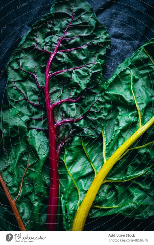 Detail of some green chard leaves leaf vegetable organic food salad fresh purple ingredient vegetarian natural plant freshness raw close up leafy nature