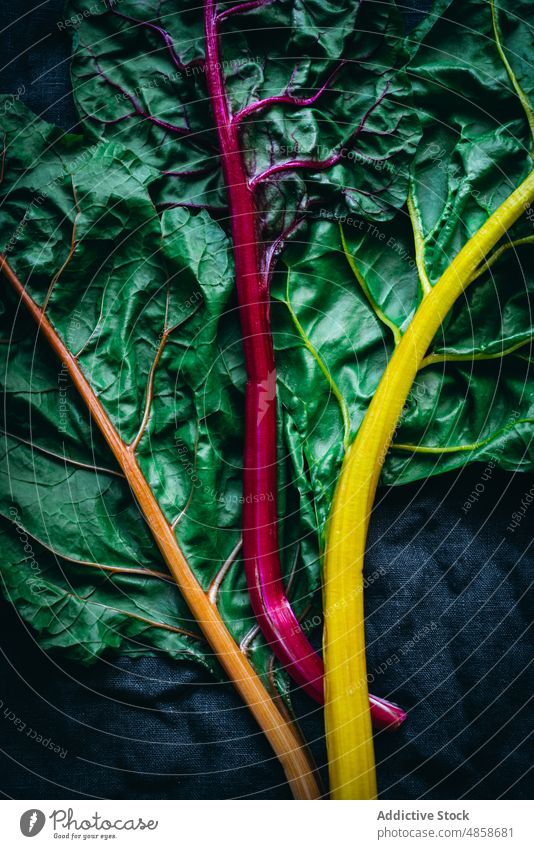 Detail of some green chard leaves leaf vegetable organic food salad fresh purple ingredient vegetarian natural plant freshness raw close up leafy nature