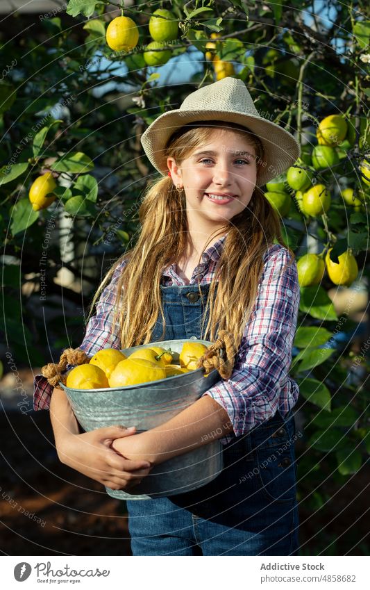 Girl with bucket of lemons in orchard girl gardener smile tree countryside harvest portrait summer kid friendly ripe fruit agriculture farmer carry cheerful