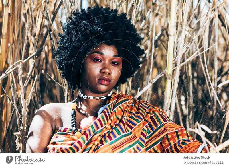 Curvy African woman touching dry grass in countryside tradition authentic field outfit portrait plus size curve style grasp female black african ethnic