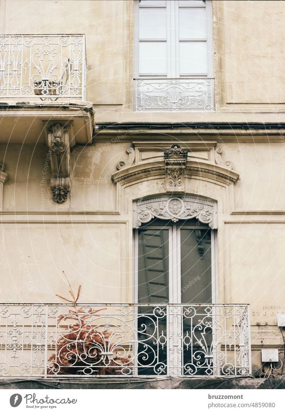 Dried Christmas tree on balcony in front of art nouveau facade withered Christmas & Advent Christmas decoration fir tree Christmassy Fir tree Decoration Tree