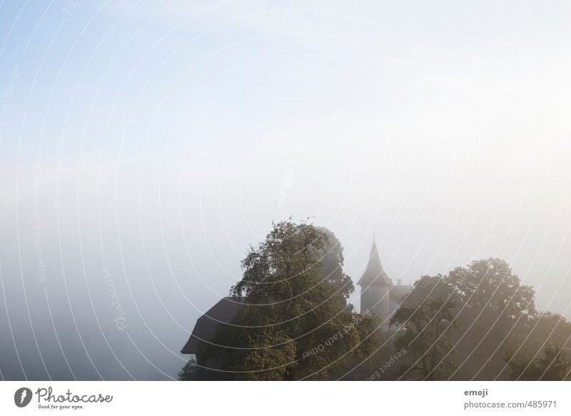 saga Environment Nature Autumn Fog Hill Castle Tourist Attraction Old Dark Fairytale castle Colour photo Subdued colour Exterior shot Deserted Copy Space left