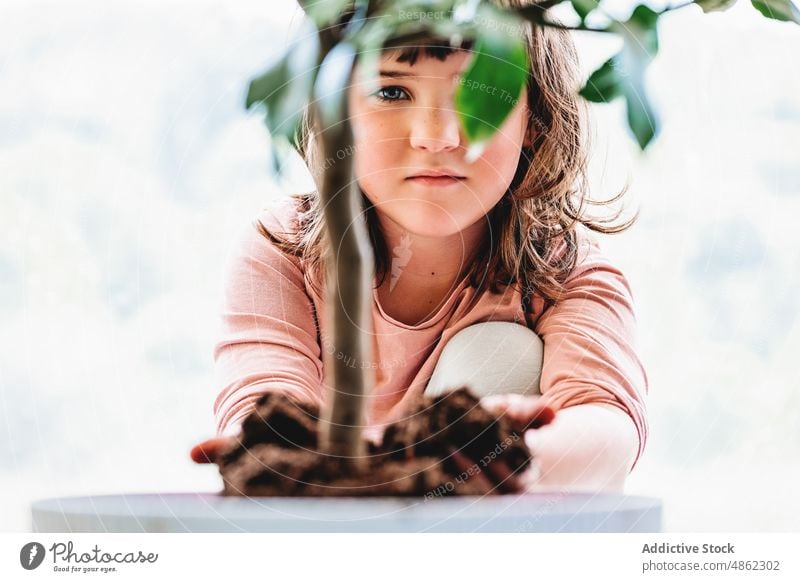 Girl pouring soil into flowerpot girl kid transplant gardener cultivate care grow potted replant room flora botanic floral vegetate natural child flat housework