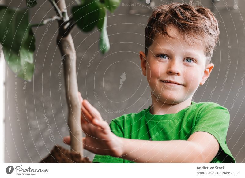 Content boy transplanting plant into flowerpot soil kid portrait helper cultivate care ficus grow potted botanic flora floral fertile apartment content glad