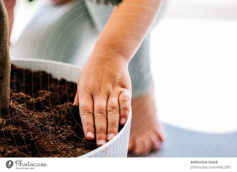 Girl pouring soil into flowerpot girl kid transplant gardener cultivate care grow potted replant room flora botanic floral vegetate natural child flat housework