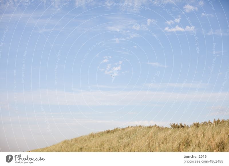 a blue sky with some small white clouds over a dune Beach vacation Ocean duene Sky Blue Clouds holidays Summer Spring voyage go away Netherlands Ouddorp