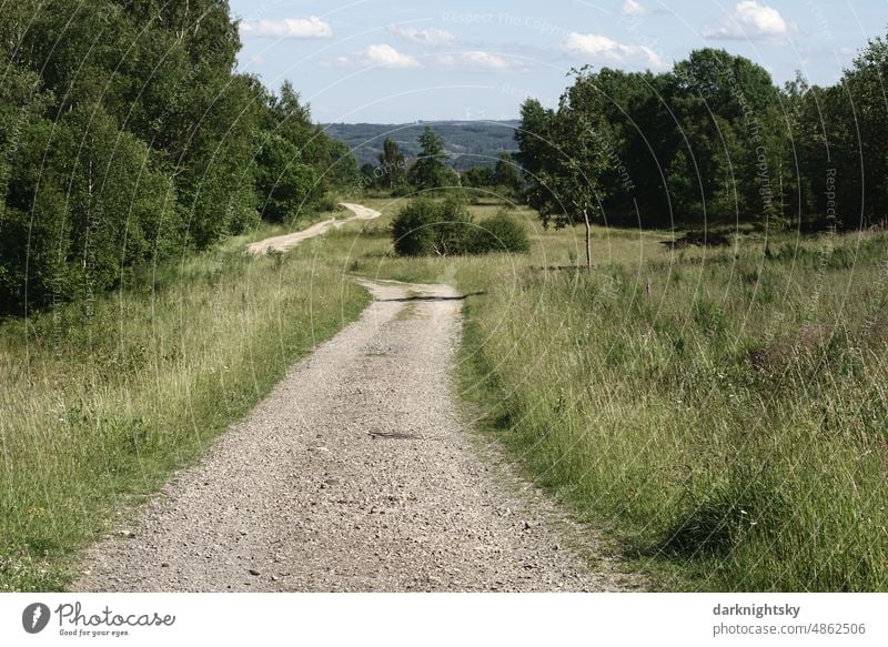 Path through a beautiful landscape, Sauerland and Siegerland near Bergisches Land Grass off Hiking Forest Exterior shot Outdoors foliage South Westphalia Park