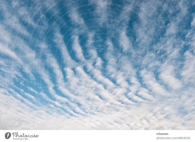 white fluffy rain clouds in the blue sky background clear sunny beautiful weather landscape day cloudy summer light overcast air cloudscape nature sunlight