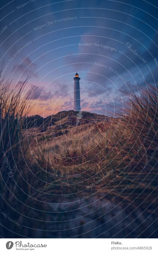 Lyngvig Fyr lighthouse seen through the dunes Lighthouse Denmark North Sea Exterior shot Colour photo coast duene Landscape Ocean Vacation & Travel Deserted Sky