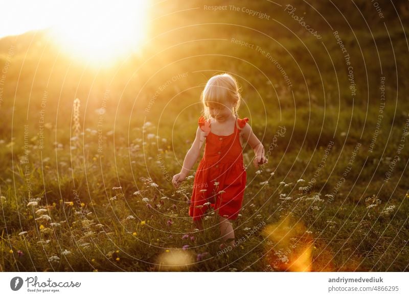 Portrait of a little beautiful girl in red dress on nature on summer day vacation. The playing in the green field at the sunset time. Close Up. The concept of family holiday and time together.