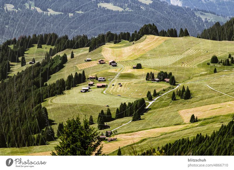 Alpine farming in the Swiss Alps Switzerland mountains swissmountains Mountain maiensäss Hiking Summer Meadow Landscape Nature Alpine summer Suisse Svizzera