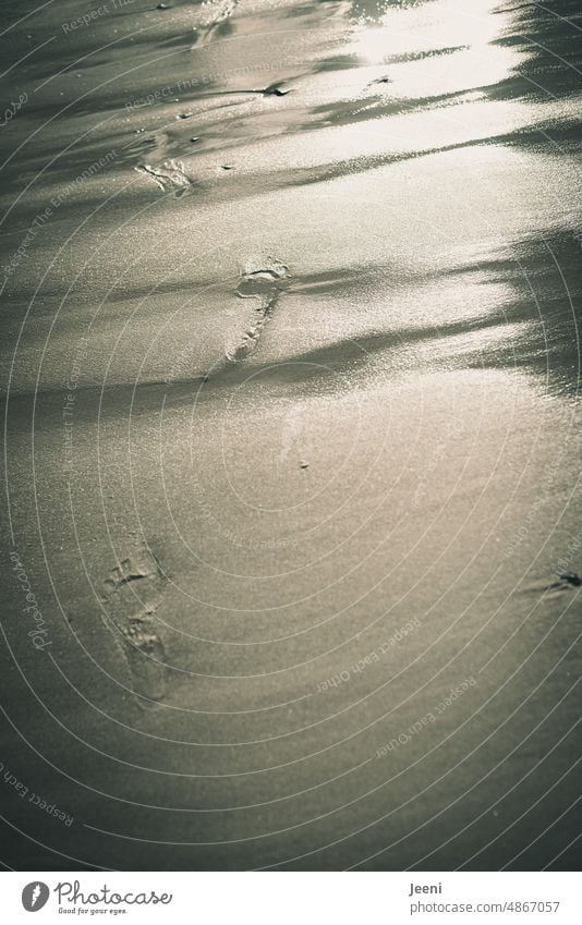 Wanderlust | Traces on the beach Tracks footprint Imprint Footprint Sand Beach Ocean coast Feet Barefoot Summer Going To go for a walk Sandy beach Water