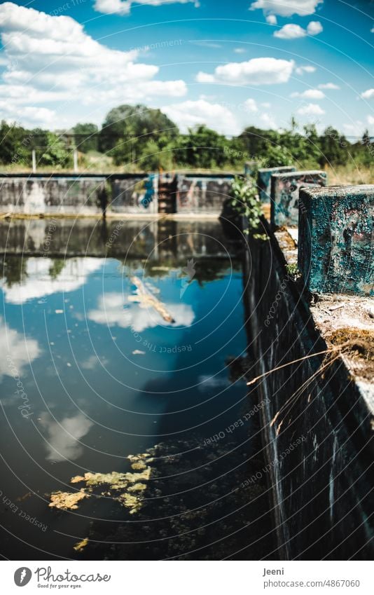 Once upon a time... Summer fun in the swimming pool | Lost Land Love Swimming pool Swimming & Bathing Water Wet Old Dirty Decline Derelict lost places