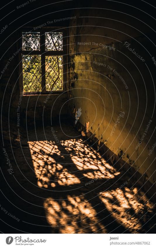 Sunshine in an old house | Lost Land Love Sunbeam House (Residential Structure) Old room Pattern Window Light Shadow Wall (building) Contrast Grating