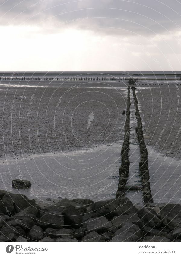 Triste beauty Cold Muddy Ocean Backward Low tide Beautiful Corner Gray Horizon Seagull Dike Waves Gravel Gloomy Unicoloured Wall (barrier) Consistent