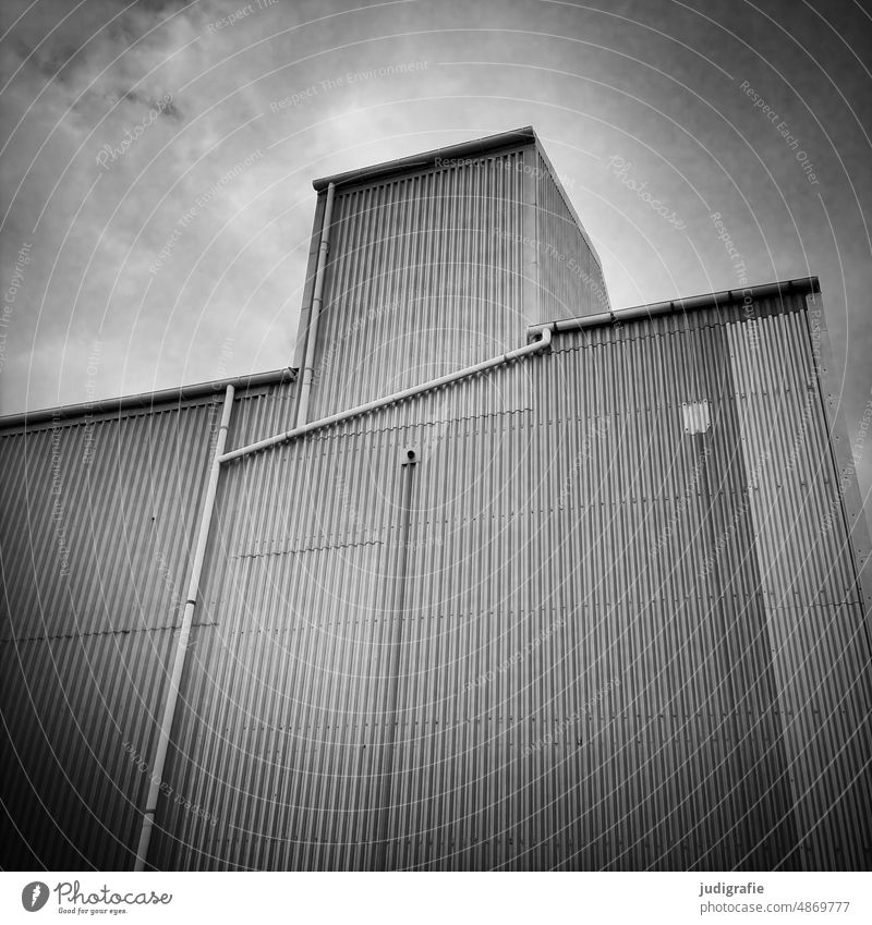 harbor Roof Corrugated sheet iron House (Residential Structure) lines Light Shadow Denmark Jutland Black & white photo Square Building Harbor buildings Maritime