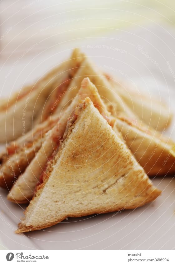 Tuna toast Food Bread Nutrition Eating Finger food Brown Toast toasted Snack Tuna fish Coated Colour photo Detail