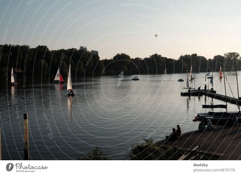 Colorful sailboats and dinghies as well as a hot air balloon in the light of the evening sun on the Aasee in Münster in Westphalia in Münsterland Weekend